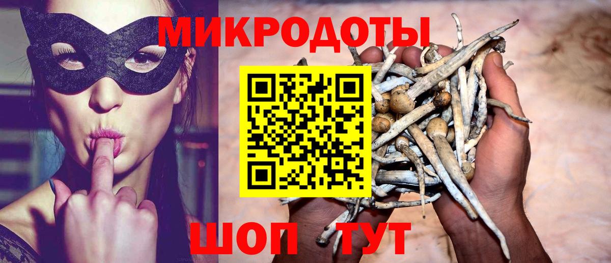 Воскресенск  Псилоцибиновые грибы Cubensis  Вход с VPN 